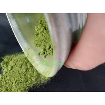 Matcha, luksusowa japońska zielona herbata, oryginalnie zapak. z certyfikatem JAS, 40g